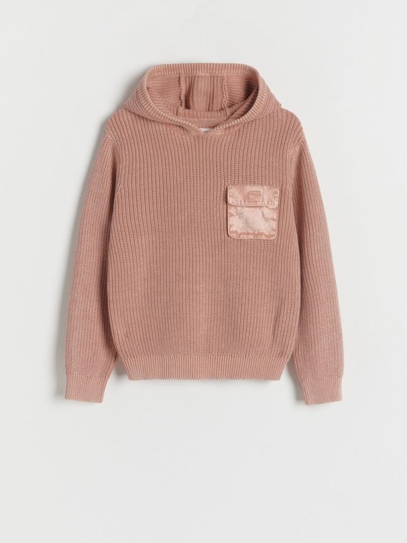 Rose Boys' Reserved Hooded Sweaters | 65108HMYU